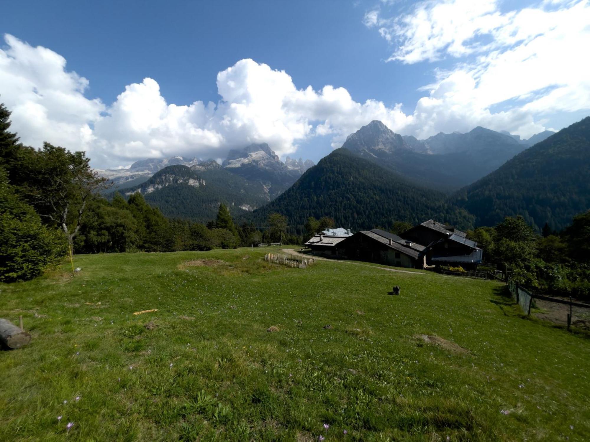 Villa Alpina Campiglio Мадонна-ди-Кампильо Экстерьер фото