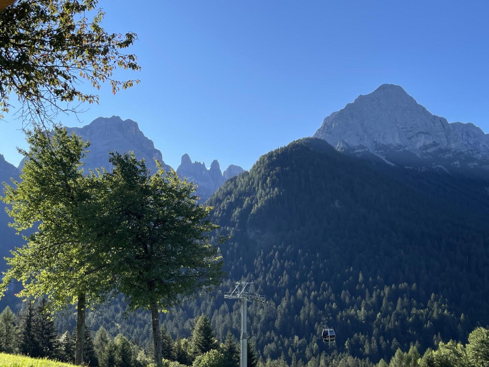 Villa Alpina Campiglio Мадонна-ди-Кампильо Экстерьер фото