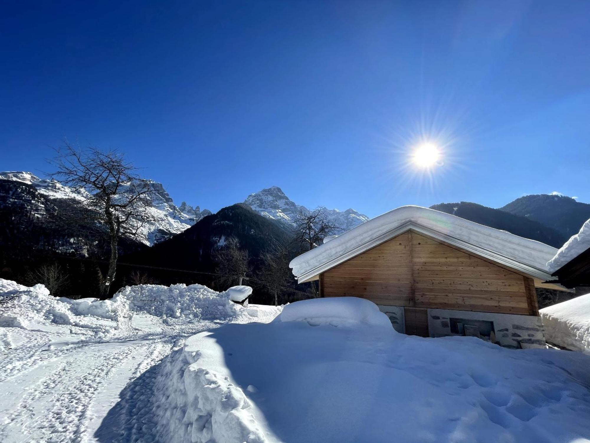 Villa Alpina Campiglio Мадонна-ди-Кампильо Экстерьер фото