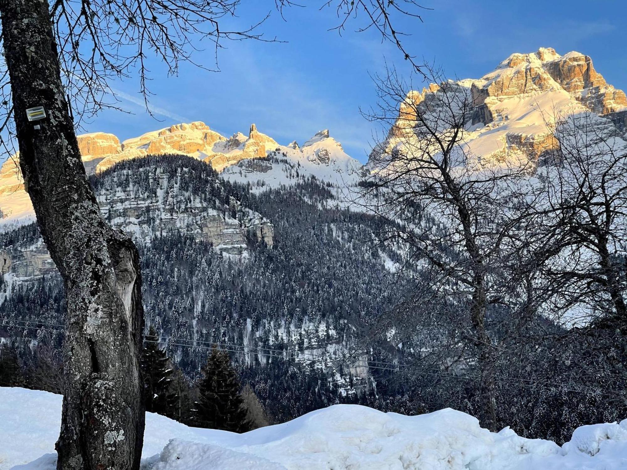 Villa Alpina Campiglio Мадонна-ди-Кампильо Экстерьер фото