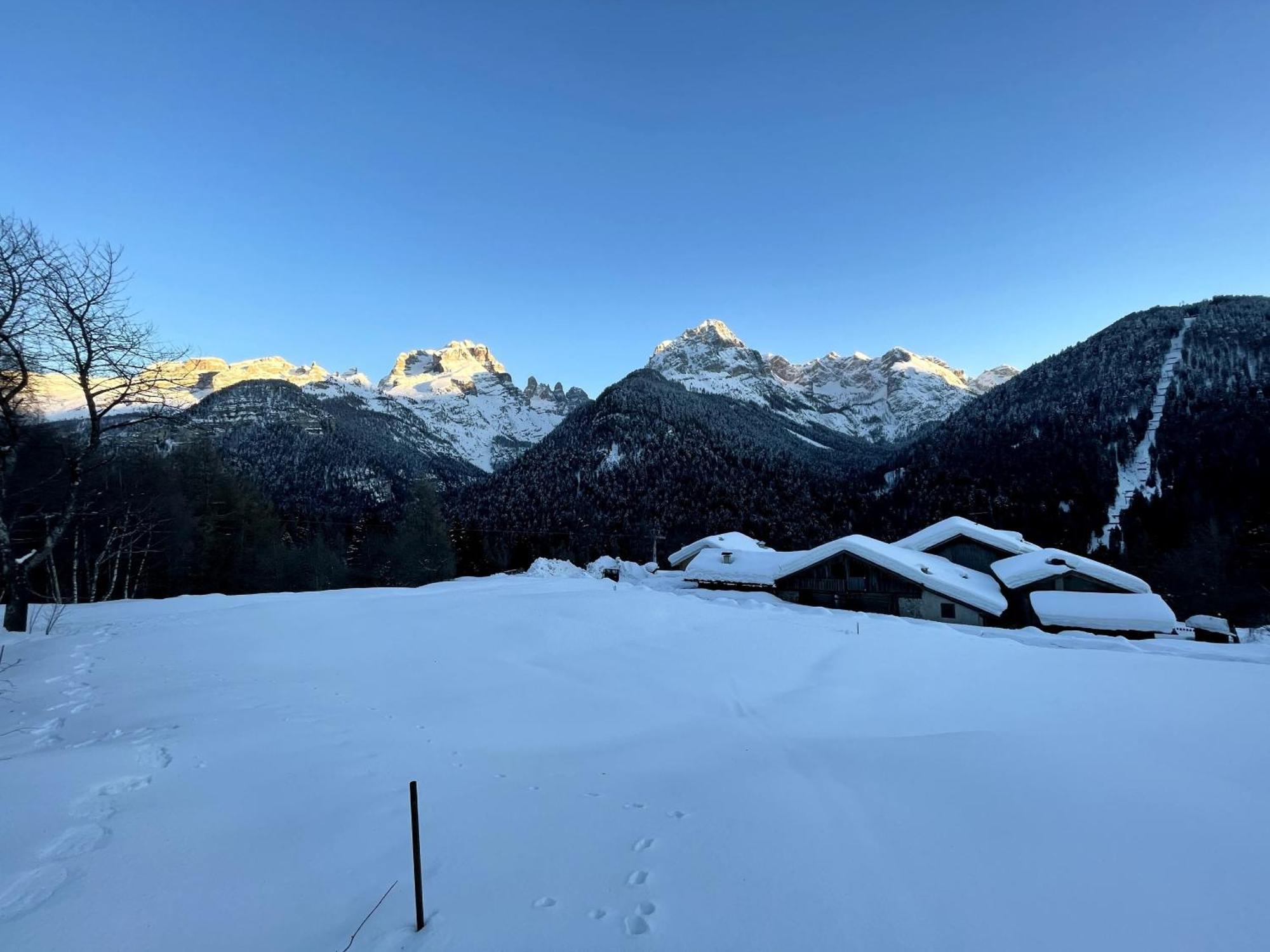 Villa Alpina Campiglio Мадонна-ди-Кампильо Экстерьер фото