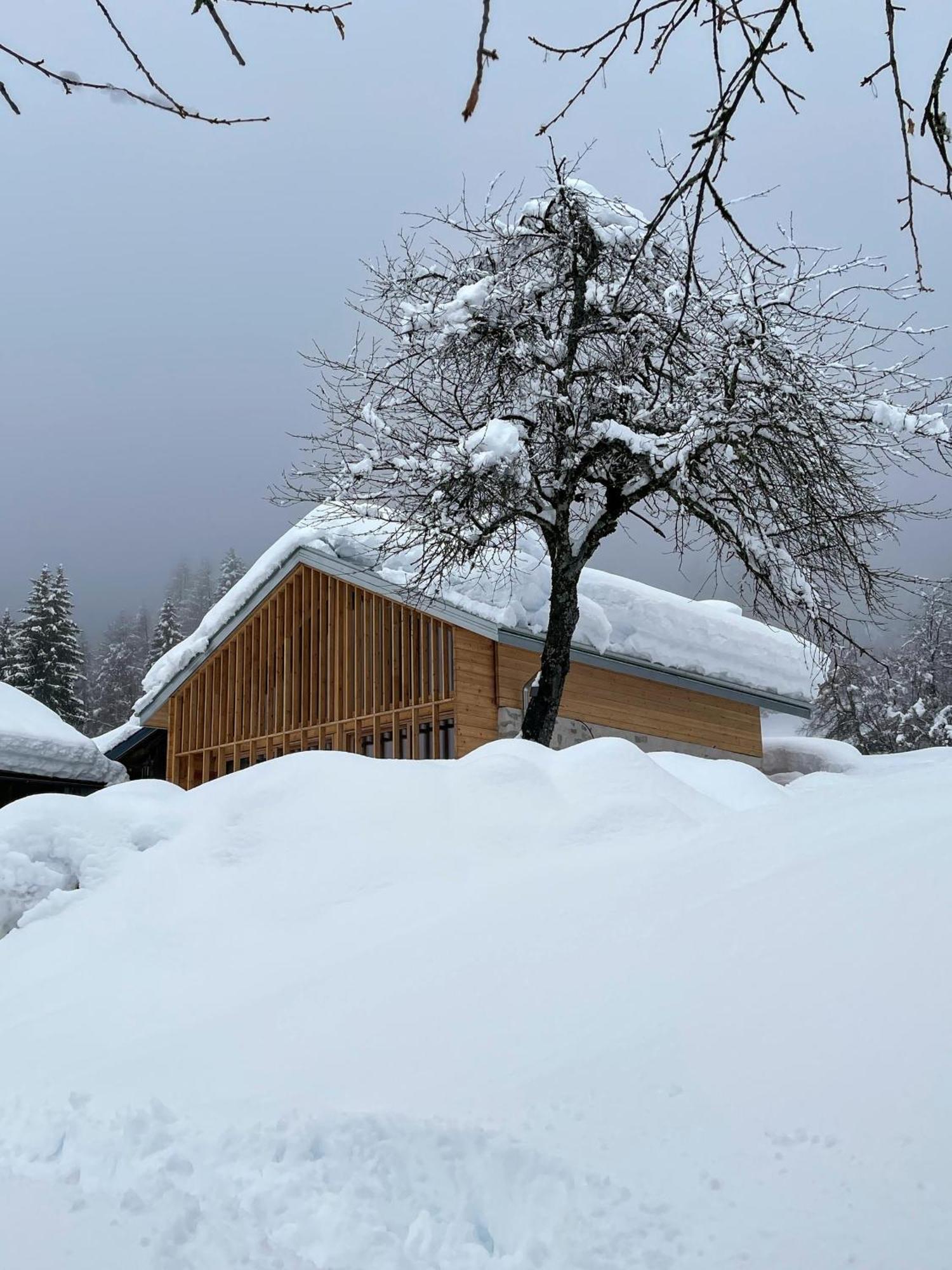 Villa Alpina Campiglio Мадонна-ди-Кампильо Экстерьер фото